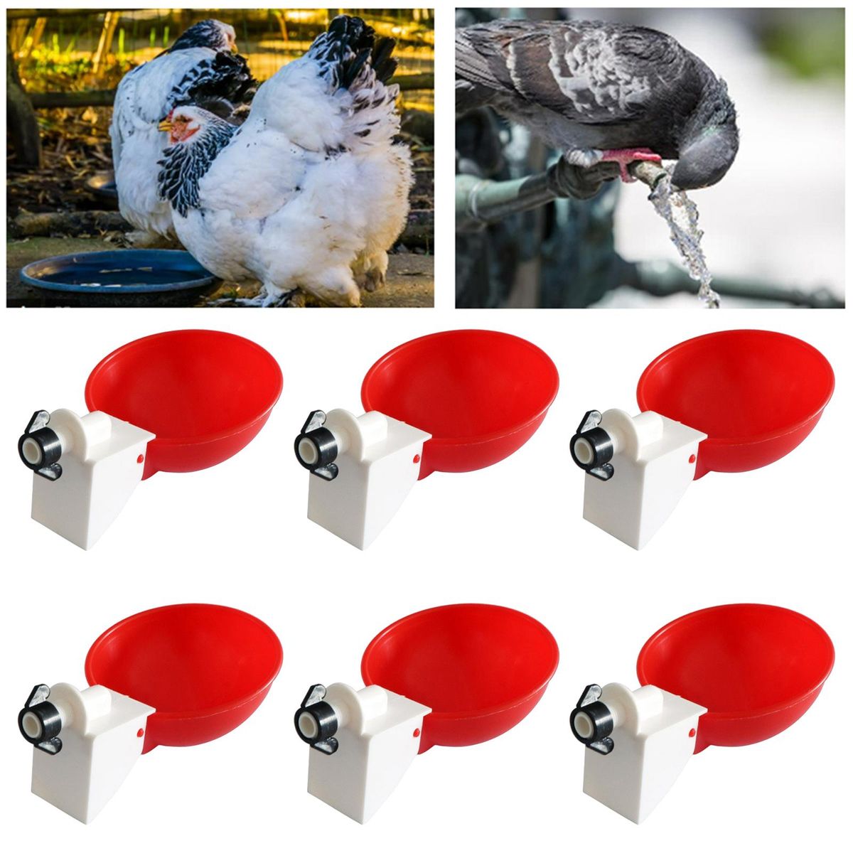 6Pcs Automatic Chicken Drinkers Cups Feeder Bowls Plastic Watering Red