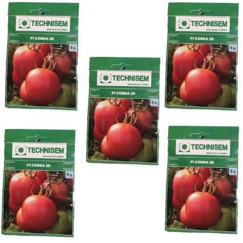 Hybrid Tomato Seeds - 5g - 5Sachets