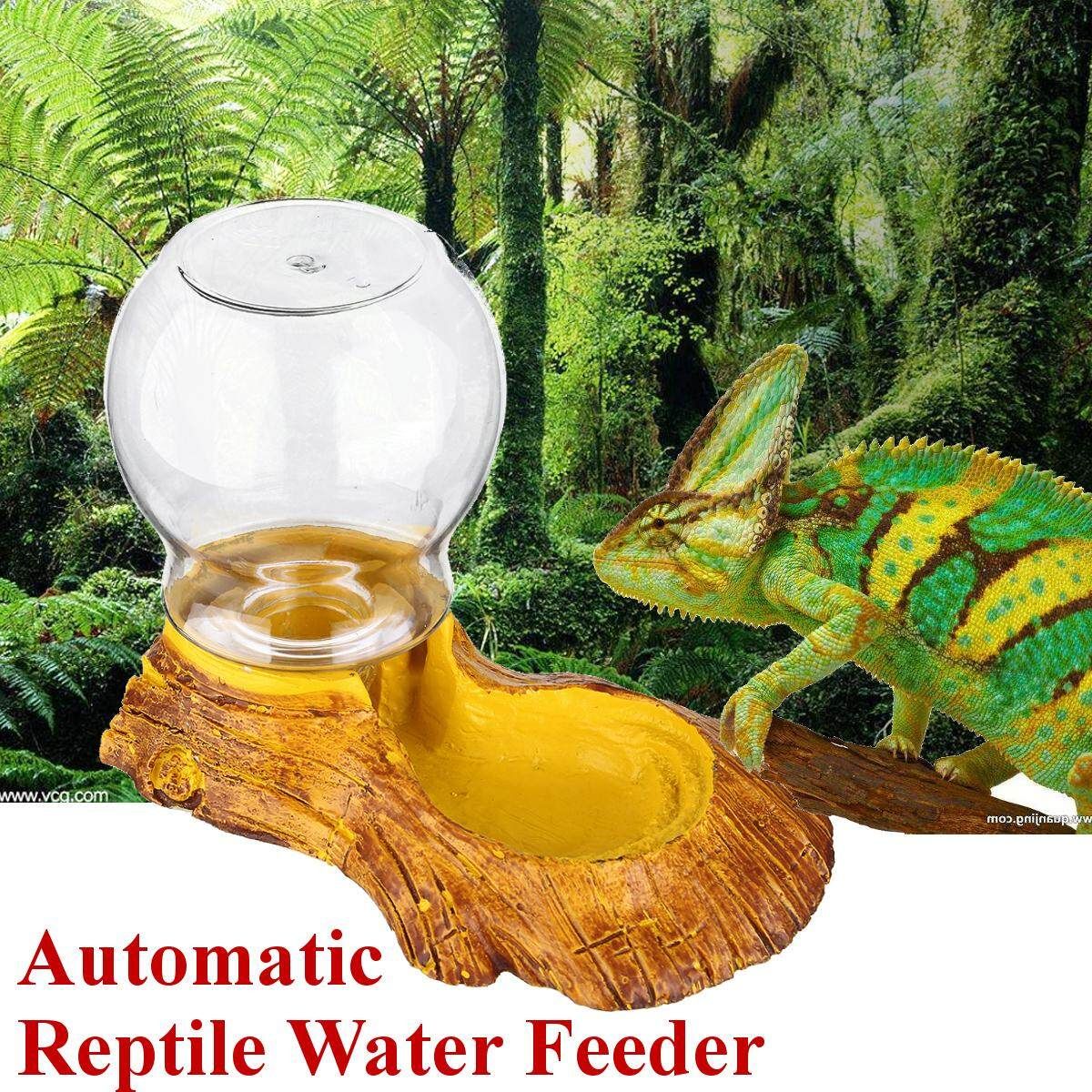 Reptile Amphibians Automatic Tortoise Basin Lizard Bowl Water Feeder Drinking