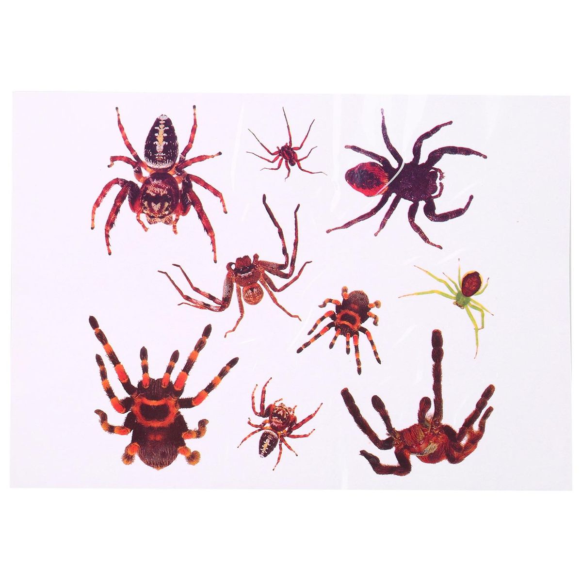 6Pcs/Set Halloween Scars Stickers Funny Waterproof