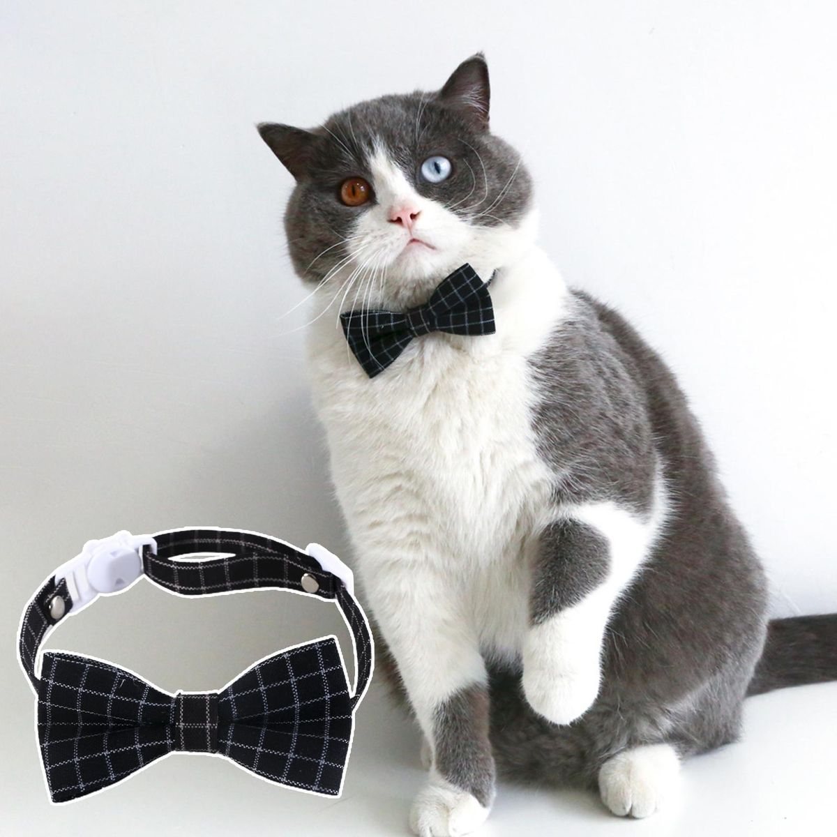 Pet Graduation Cap Cat Graduation Caps Neck Collar Photo Prop Black