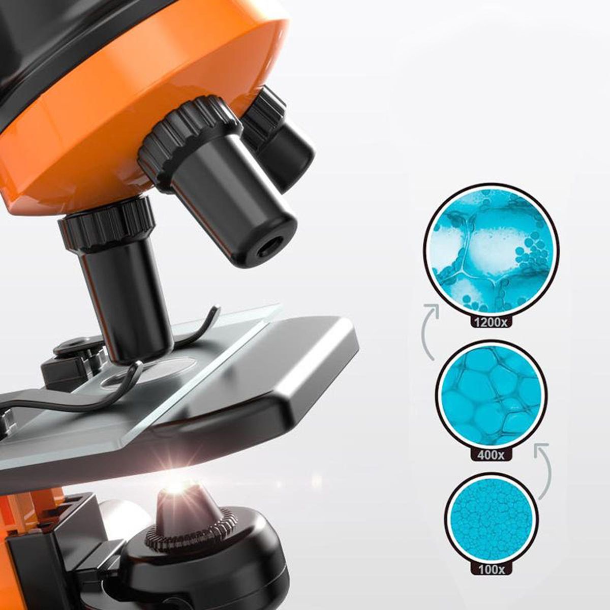 40X-1200X Starter Compound Microscope Science Toy Kit For Kids Orange