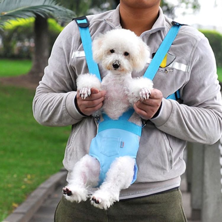 Pet Chest Backpack