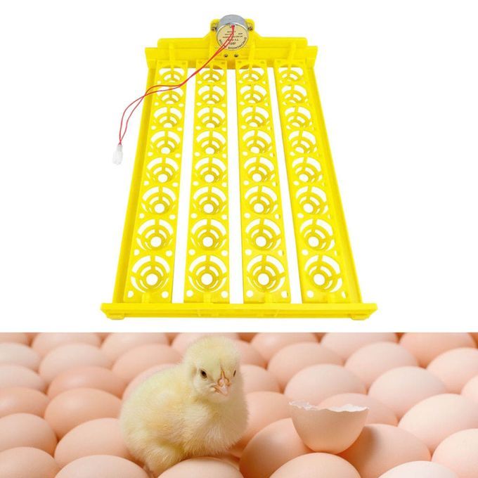 Eggs Incubator Tray AC 110V Hatching Automatic Turning For Fowl Goose