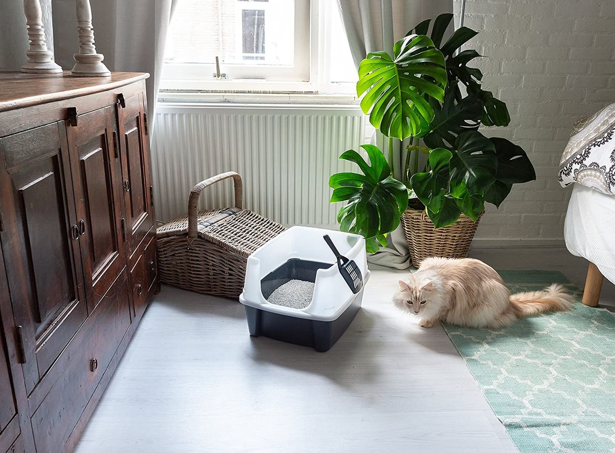 Cat Litter Box With Scoop And Raised Removable Rim - Grey
