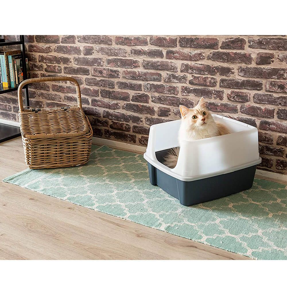Cat Litter Box With Scoop And Raised Removable Rim - Grey