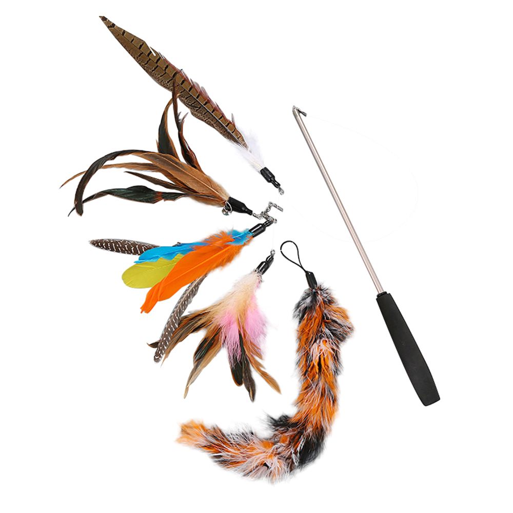 Cat Pet Feather Wand Cat Interactive Retractable Feather