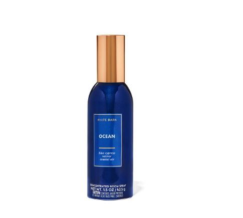Ocean Concentrated Room Spray