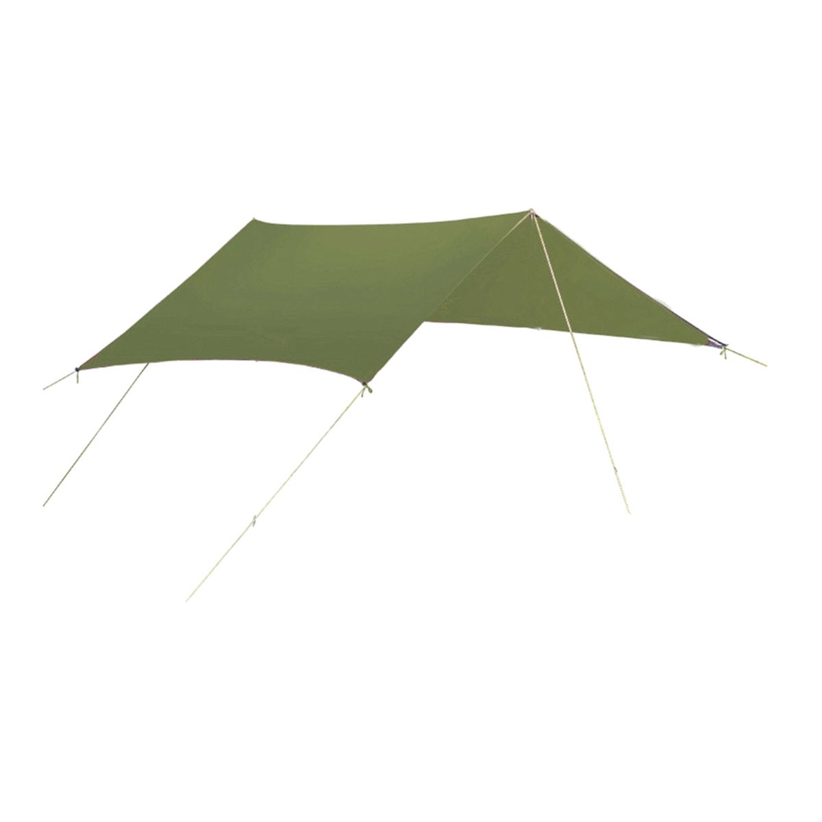 Yard Patio Sunscreen Awning Canopy Shade  Green