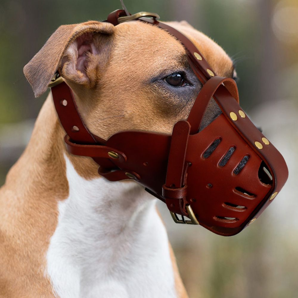 Real Leather Dog Muzzle Anti Biting Dogs Traning Muzzle No Bite Anti Bark Pet Mask For Medium Large Dog Pitbull Labr-Brown