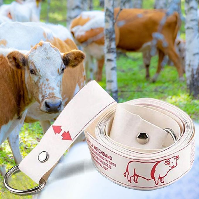 Animal Cattle Tape Measure Bust Weight Contrast For Body Measurements