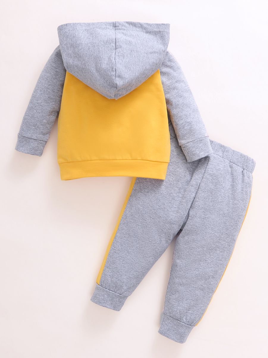 Baby Boys Cartoon Tiger Face Long Sleeves Hoodie With Pants -Grey