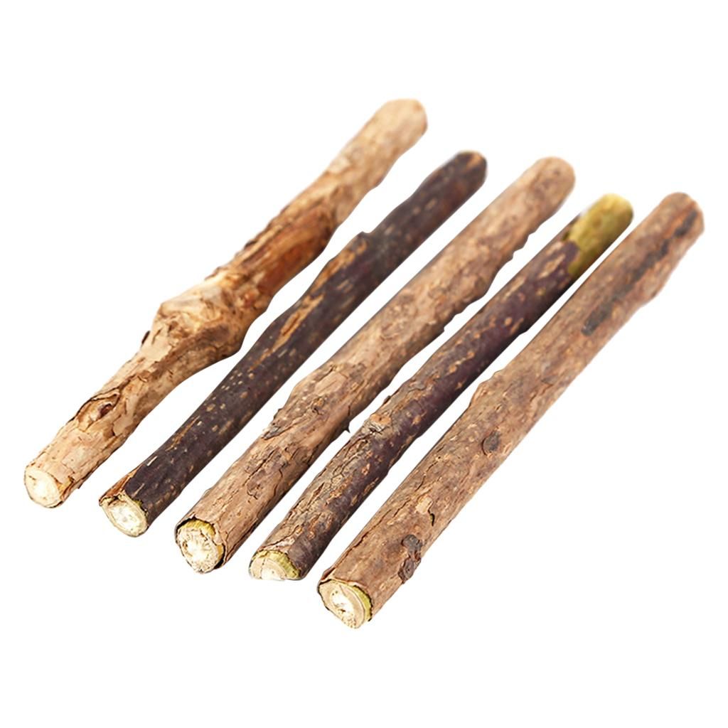 5x Catnip Stick Actinidia Polygama Natural Toothpaste Molar Snack Cat