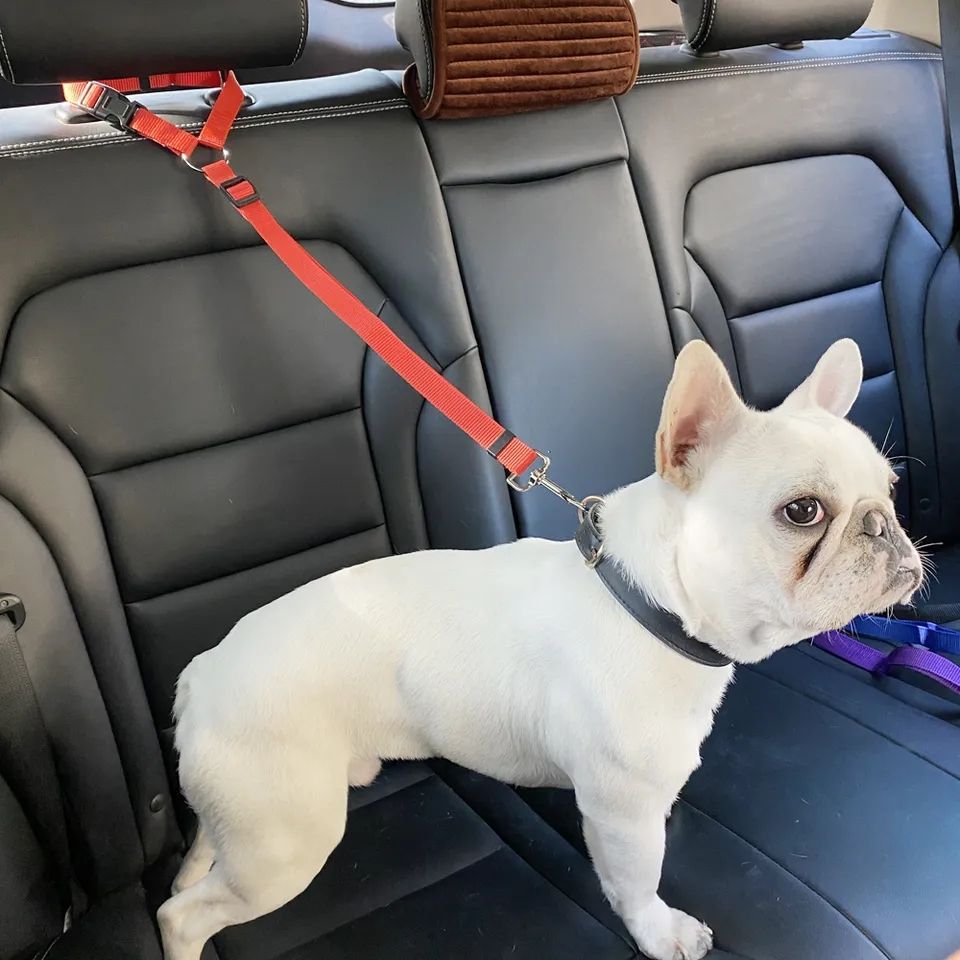 Dog Cat Safety Seat Belt Strap Car Headrest Restraint Adjustable