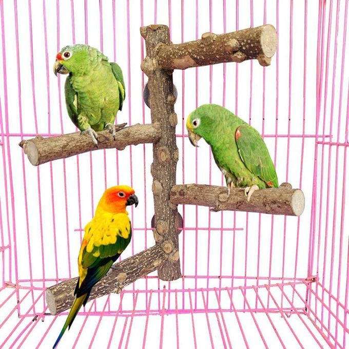 Natural Bird Perch Stand Chewing Bite Toys Bird Accessories Tree