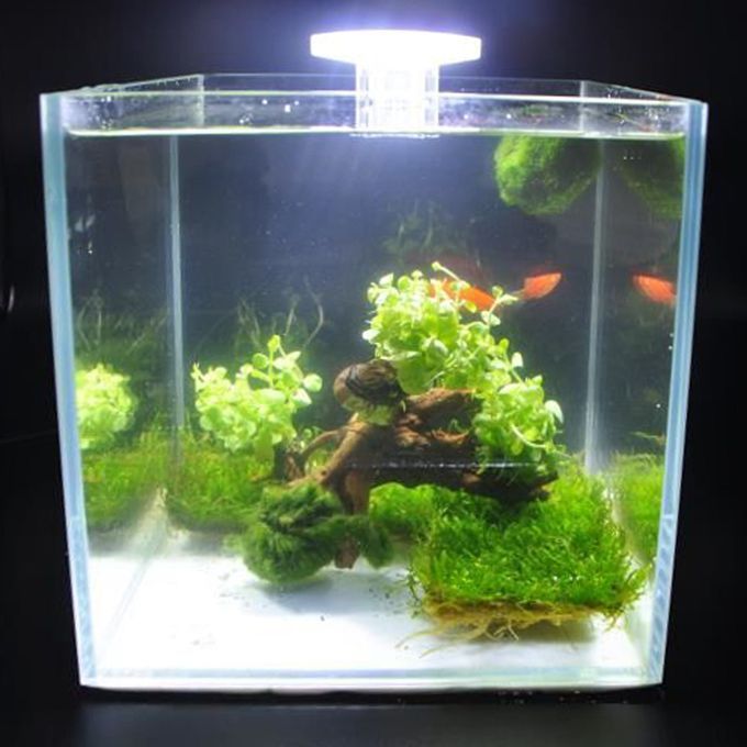 Aquarium LED Fan-shaped Clamp Lamp With 8pcs High Light
