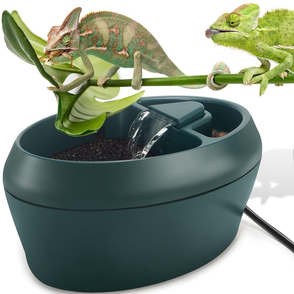 Reptile Chameleon Cantina with Snacks Trough, Drinking