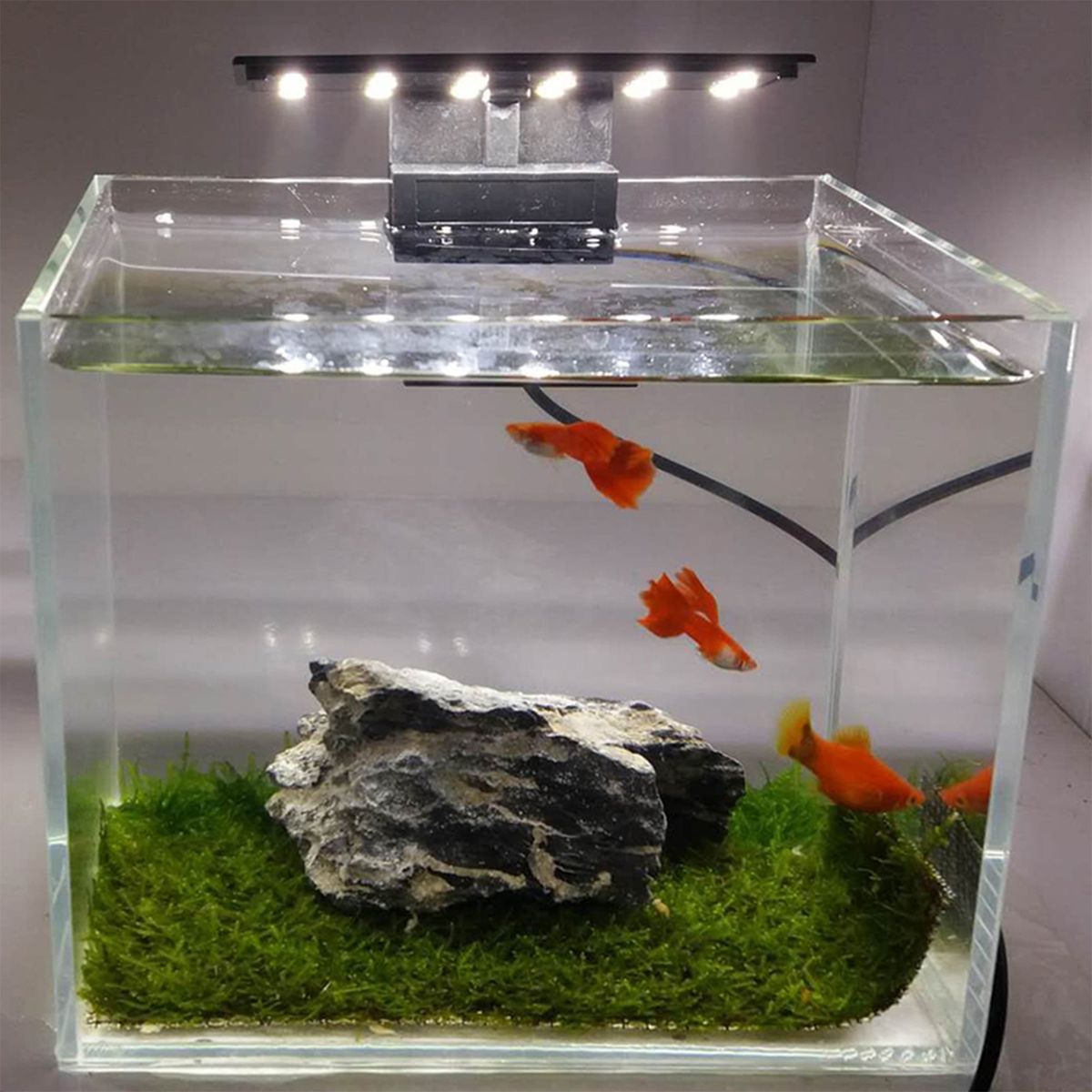 5W Ultra-thin Aquarium LED Light Ultra Bright Clip-on