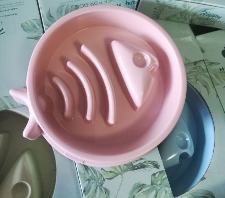 Pet Slow Feeding Bowl For Food And Water