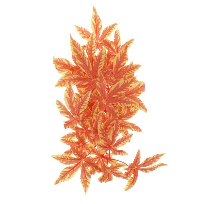 Crane Plants Non-toxic Aquarium Tank Planting Reptile Orange