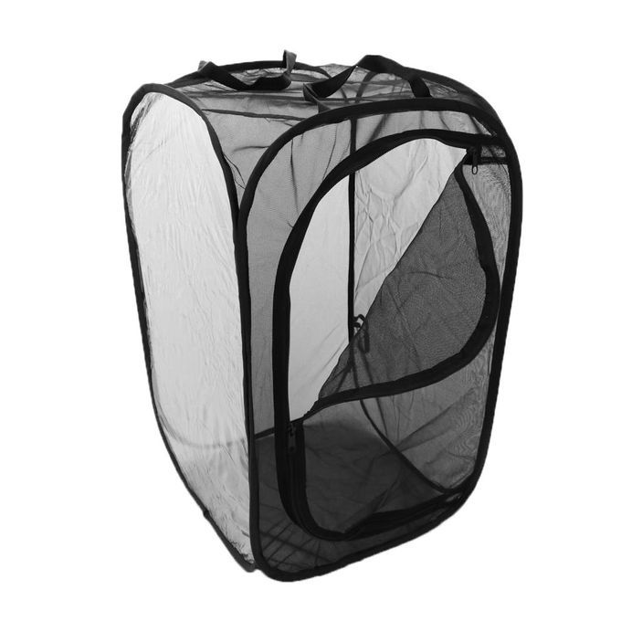 2 Pieces Collapsible Insect And Butterfly Habitat Net Up Black Child