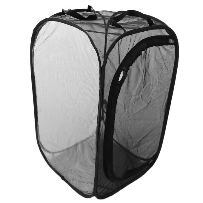 2 Pieces Collapsible Insect And Butterfly Habitat Net Up Black Child