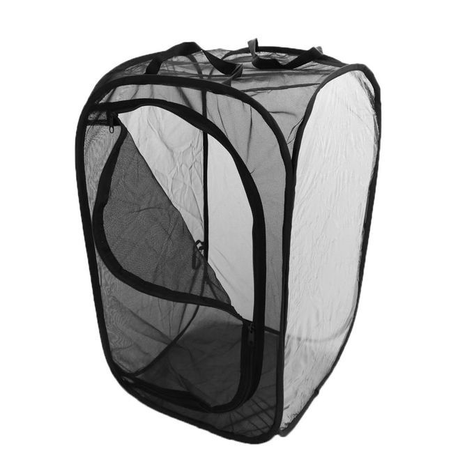 2 Pieces Collapsible Insect And Butterfly Habitat Net Up Black Child