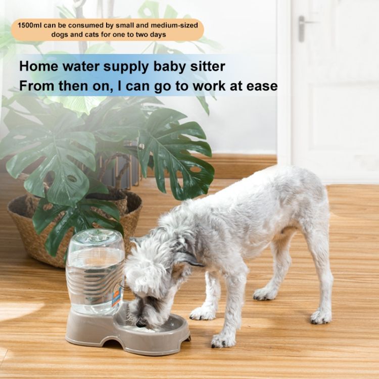 Utility Automatic Drinking Water Dispenser