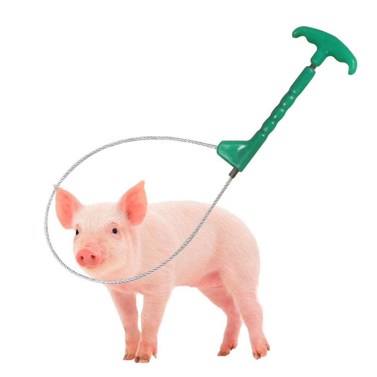 Pig Holder Catcher Stockbreeding Tool For Abs Handle