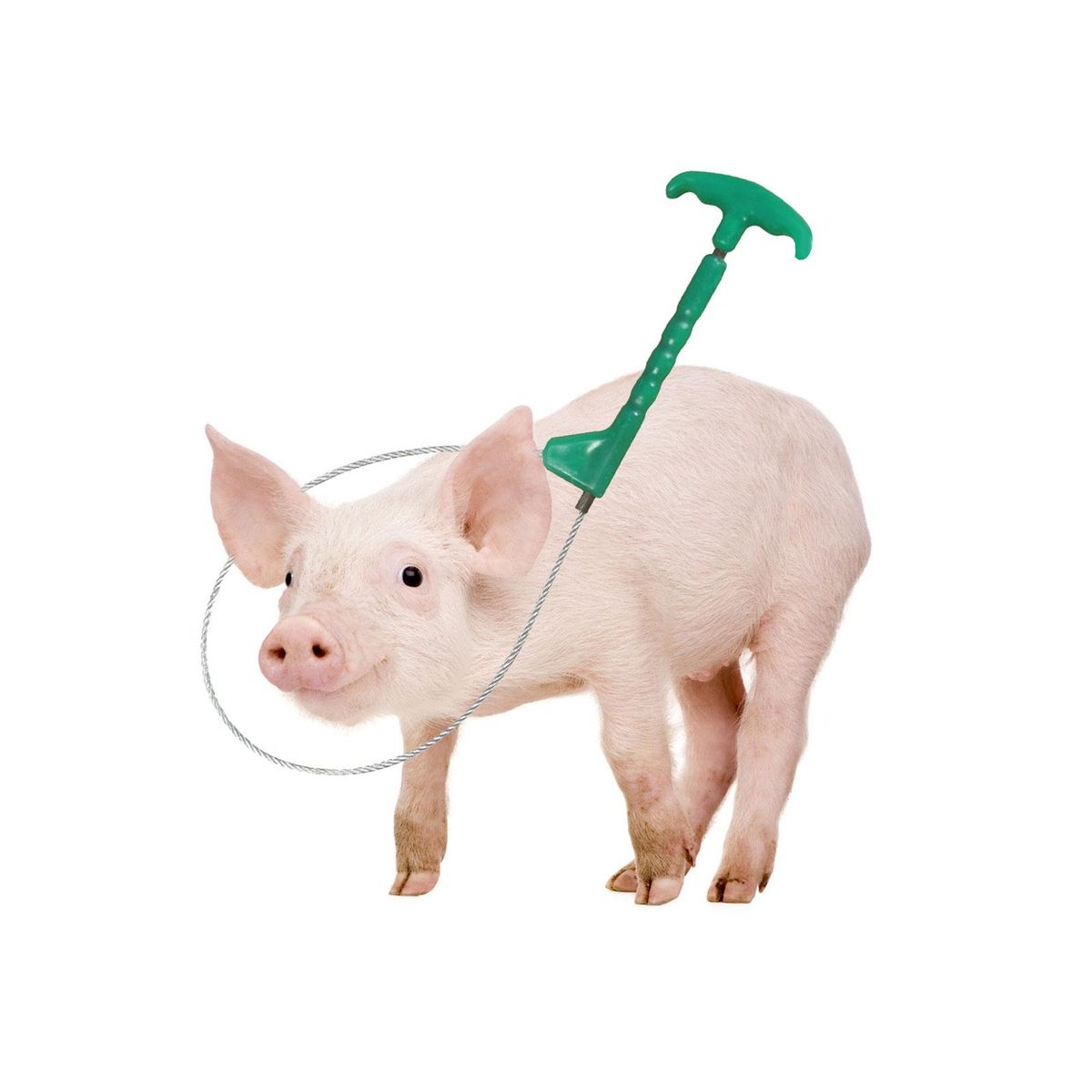 Pig Holder Catcher Stockbreeding Tool For Abs Handle
