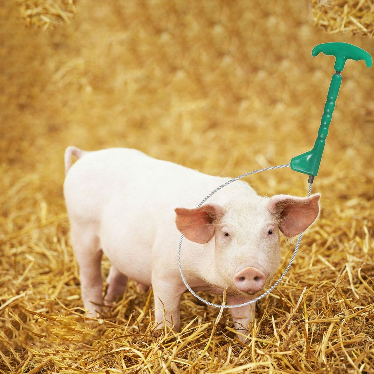 Pig Holder Catcher Stockbreeding Tool For Abs Handle