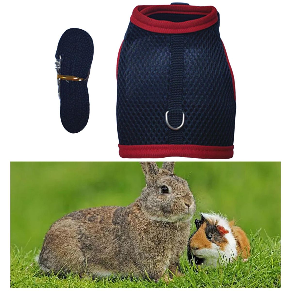 Rabbit Harness And Leash Set Cute Vest Harness For Bunny Kitten Escape