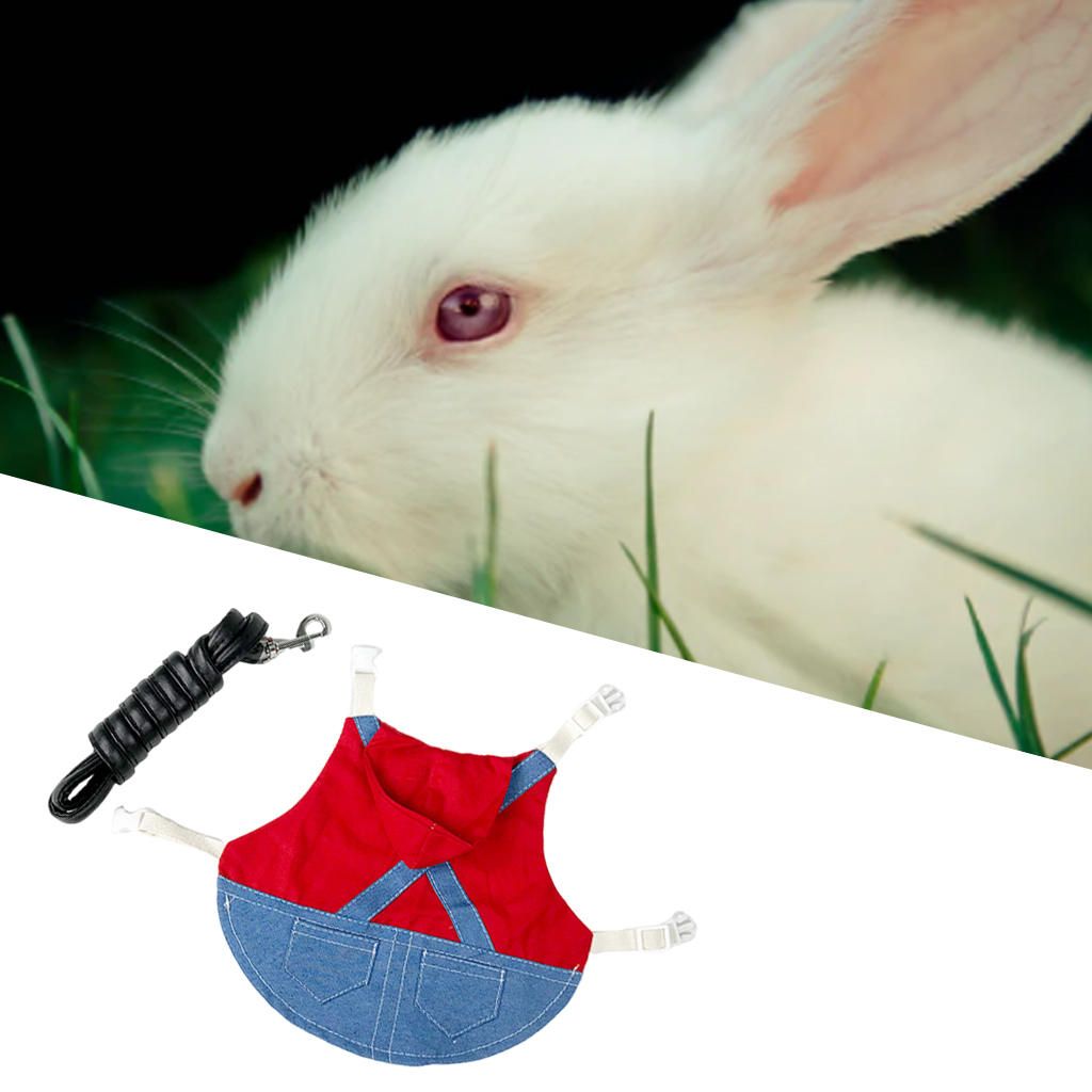 Rabbit Harness Adjustable Soft Denim Jacket Coat For Running S Red