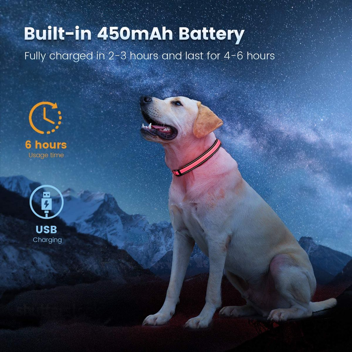 Luminous Dog Collar USB Charging Light Safe Dogs Collar Dura