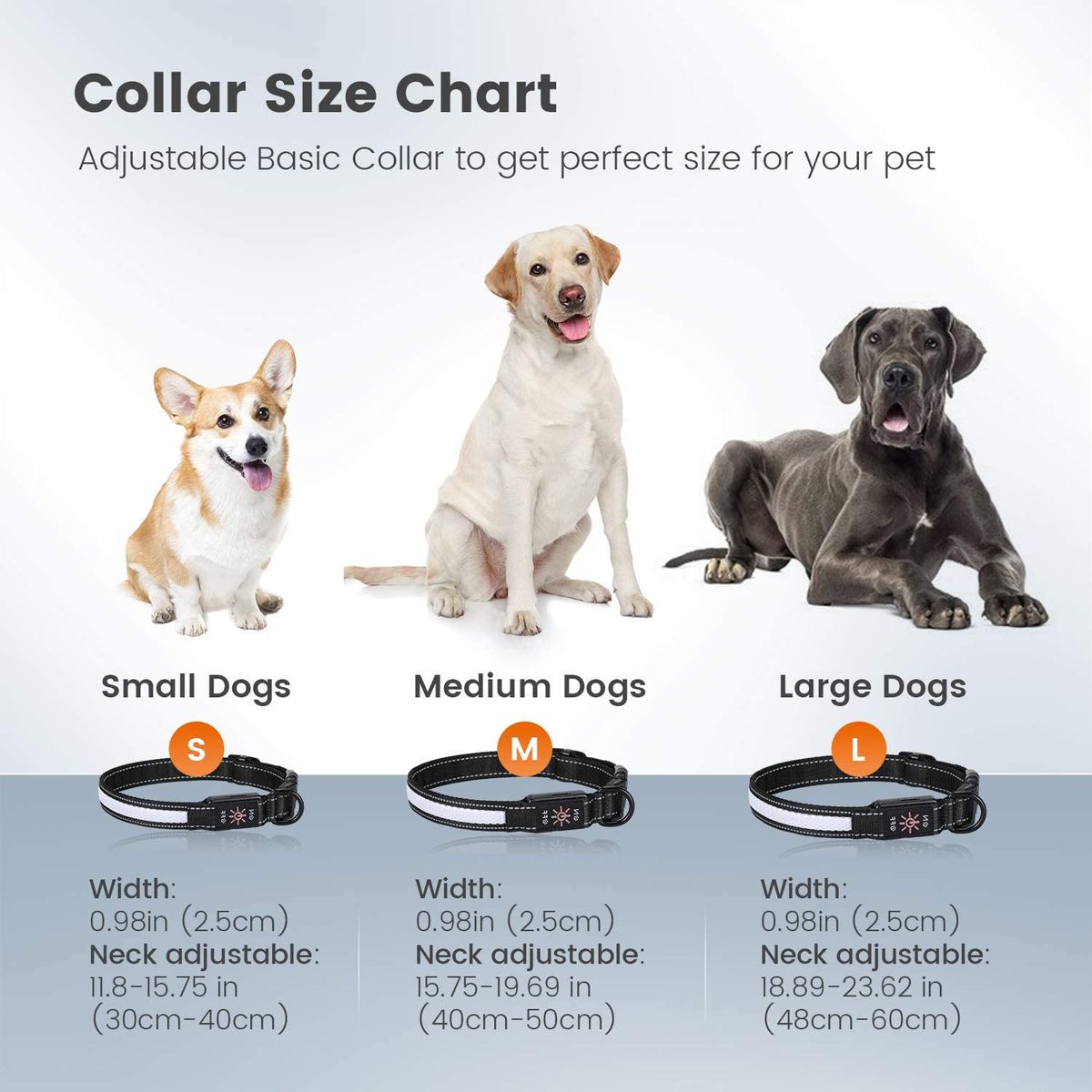 Luminous Dog Collar USB Charging Light Safe Dogs Collar Dura