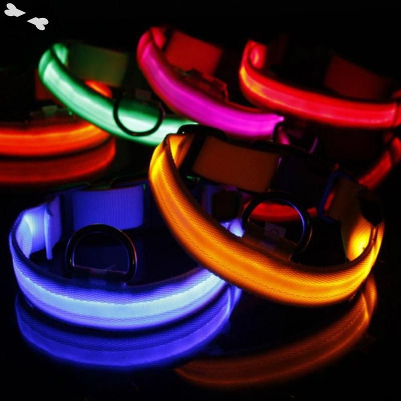 Dog Collar Nylon LED Pet Night Safety Flashing Glow In The Dark Dogs Leash Neck Band Luminous Fluor