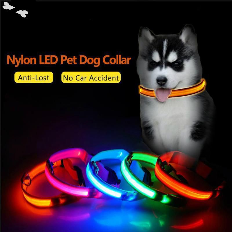 Dog Collar Nylon LED Pet Night Safety Flashing Glow In The Dark Dogs Leash Neck Band Luminous Fluor