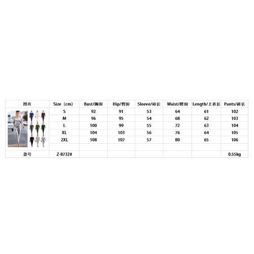 2 In 1 Women's Round Neck Top + Tights