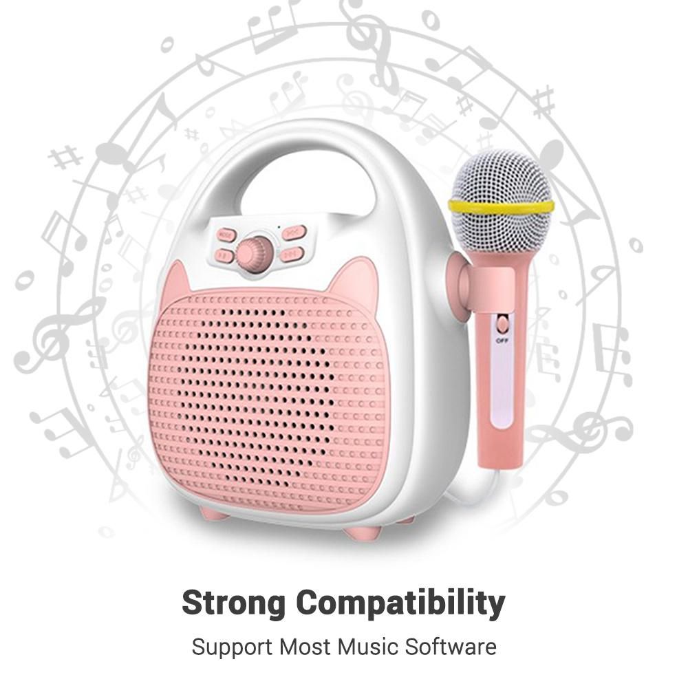 Karaoke Machine Rechargeable Portable Karaoke Speaker with Microphone BT/Memory Card/USB Connectivity Lights for Boys Girls