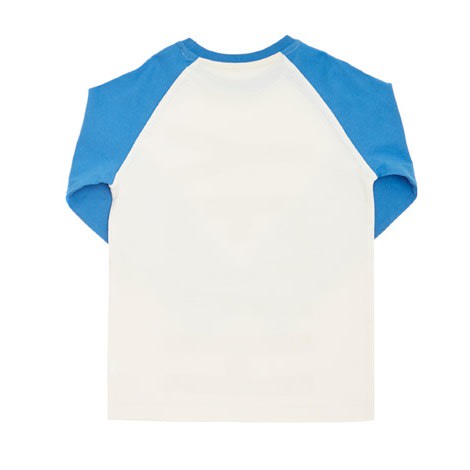 Boys Dinosaur Top - Pack Of 3