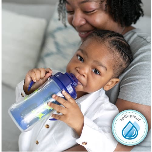 Milestone Insulated Sippy Cup With Straws And Handles 10oz -2pk - 12m+