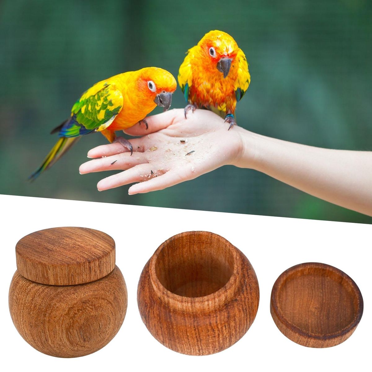 Bird Feeding Utensils Mini Storage Tank Parrot Feeder Wooden Color