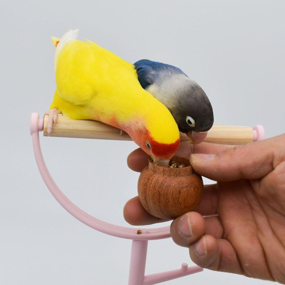 Bird Feeding Utensils Mini Storage Tank Parrot Feeder Wooden Color