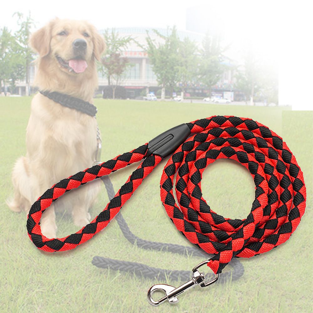 Nylon Dog Leash 5ft Long Walking Dog Rope Metal Clasp Dog