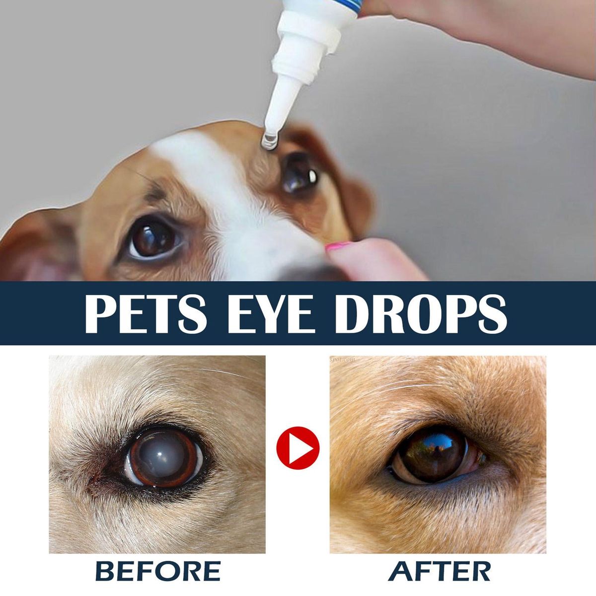 10ml Pet Eye Drops Dog Allergy Symptoms Eye Wash Drops
