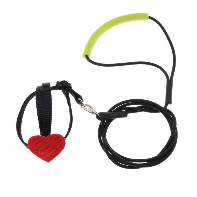 Heart-shaped Parrot Bird Harness With Leash For Budgies, Cockatiels,