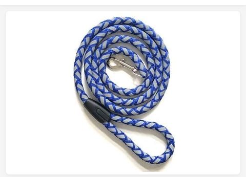 Reflective Dog Leash Blue