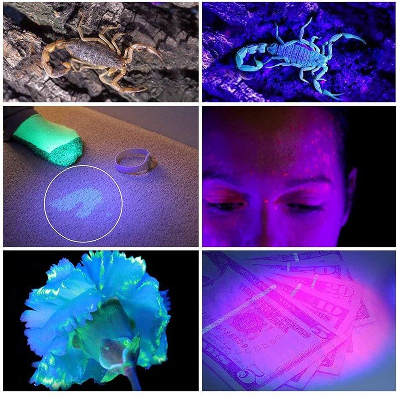 51 LED Ultraviolet Flashlight Black Light Pet Stains