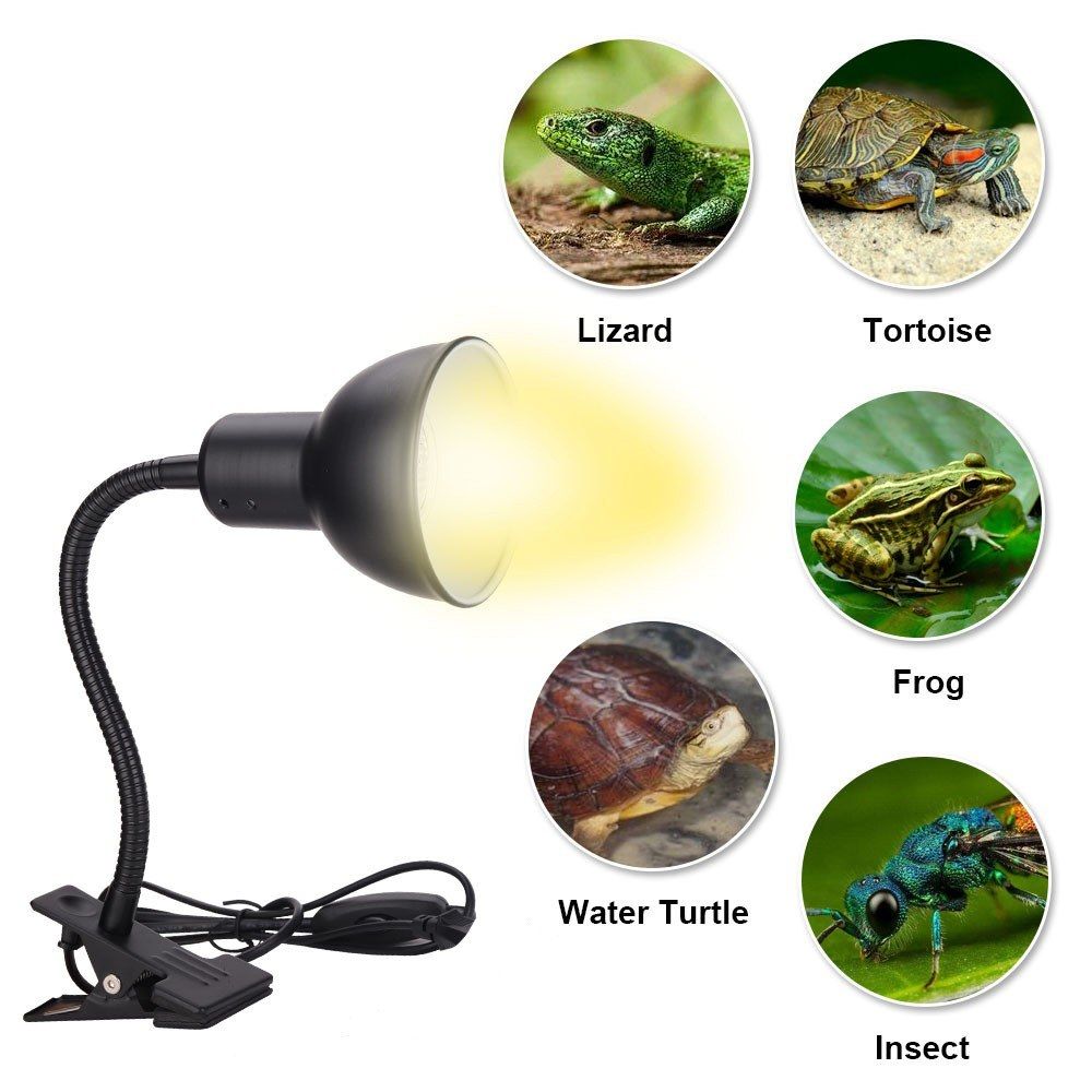 25W Reptile Heat Lamp Tortoise Heat Lamp Basking Lamp Heater