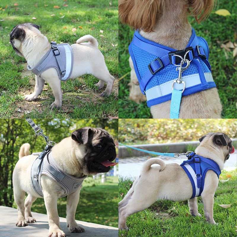 Pets Collar Leash Dog Rope Pet Chain
